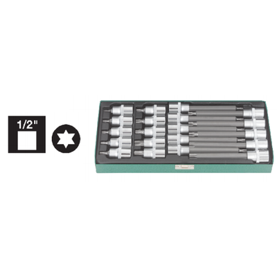Torx klt. 20 részes SW5-19, 1/2"